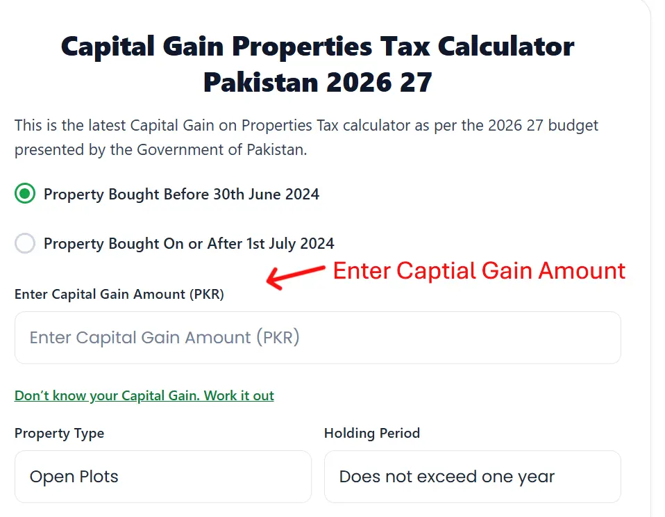 Enter Capital Gain Amount